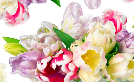 913576 (a): :3000x1835